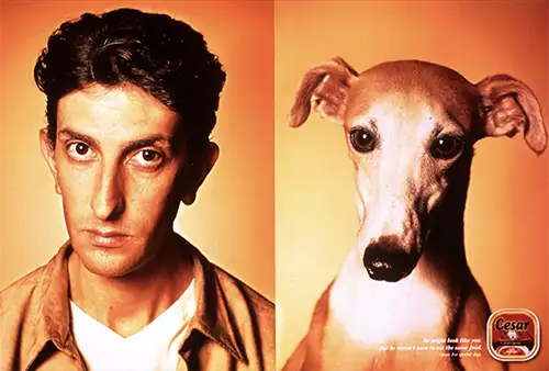 cesar dog food whippet marcello serpa